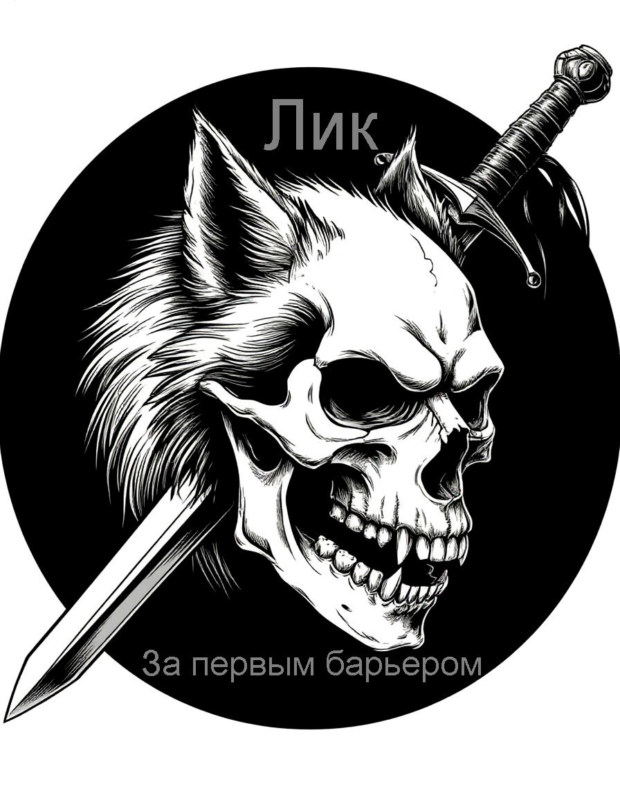 За первым барьером