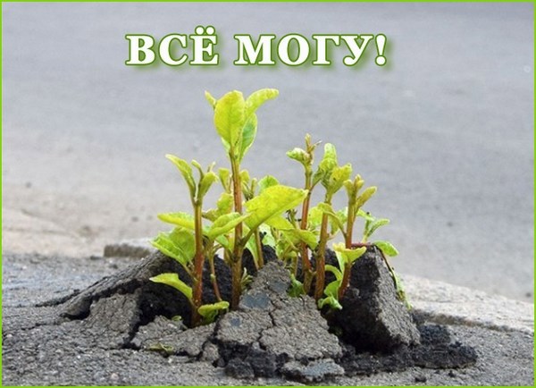 Я могу все!