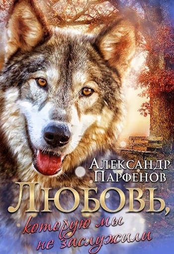 Любовь, которую мы не заслужили