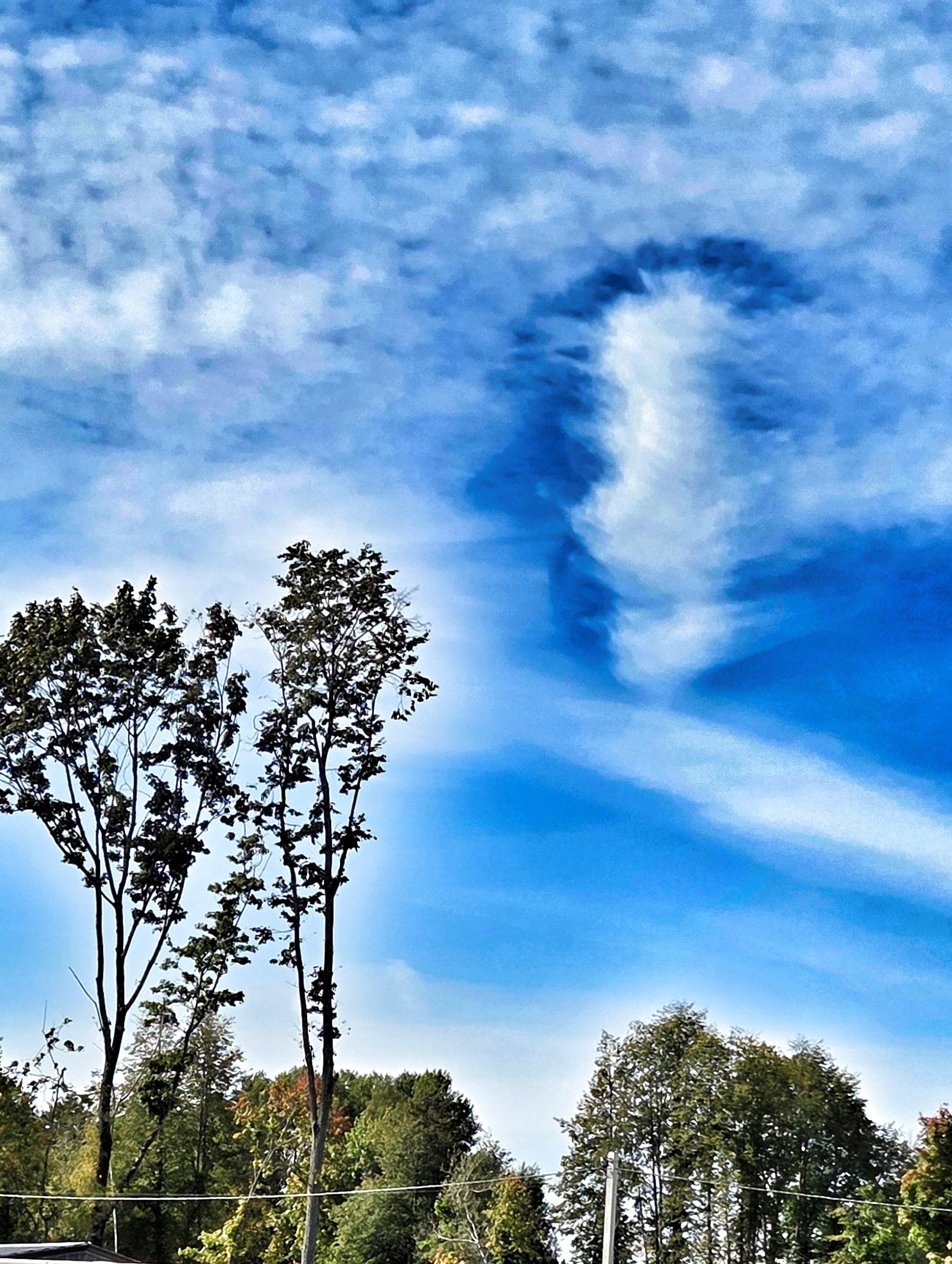 Моя жена коряга