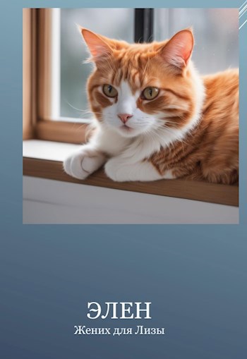 Жених для Лизы