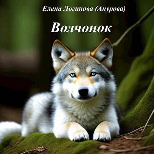 Волчонок