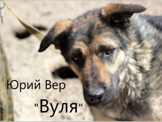 Вуля