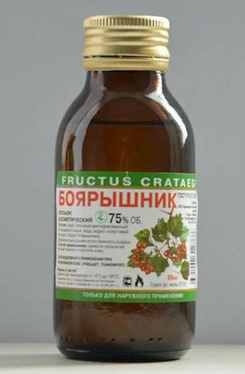 Мамонт