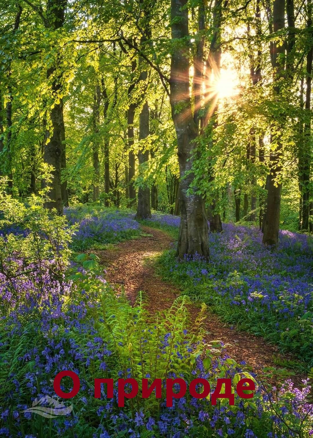 О природе
