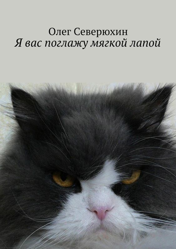 Я вас поглажу мягкой лапой. Поток сознания