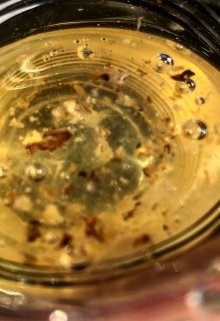 Пульт и культ