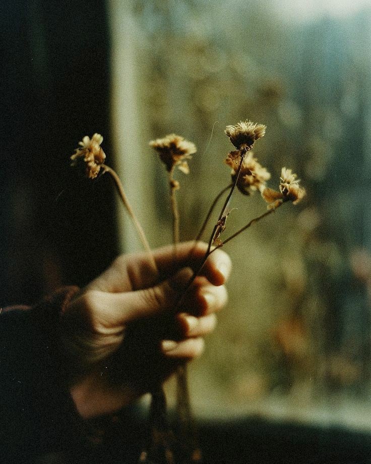 О самом сокровенном мы молчим..