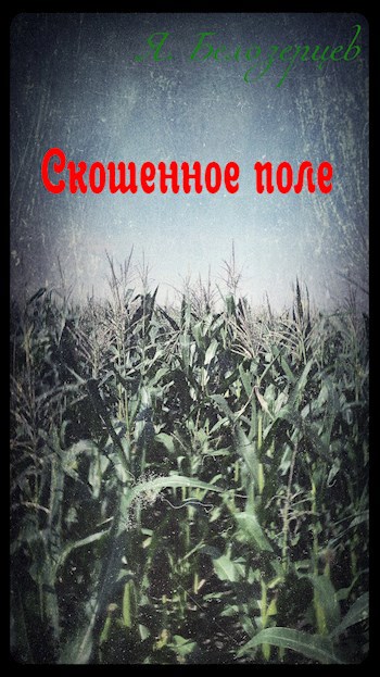 Скошенное поле