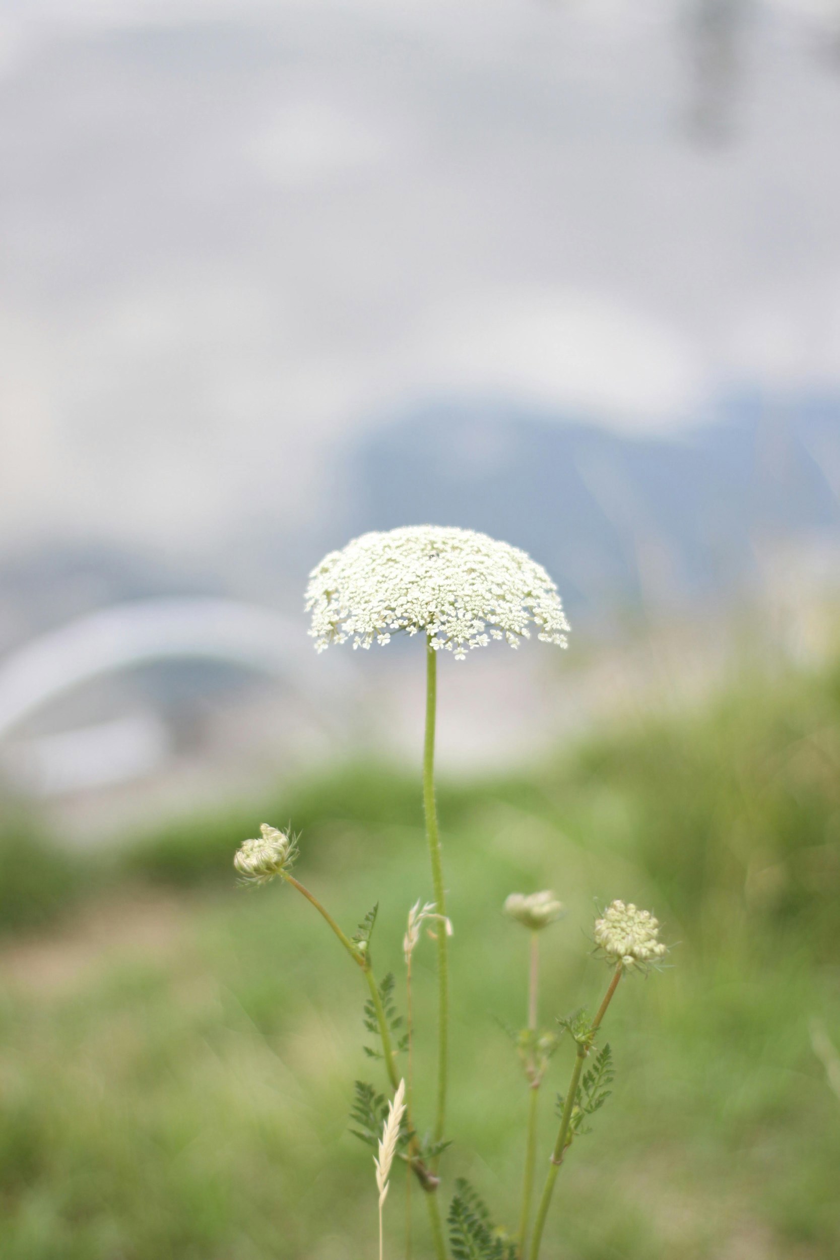 Как наладить личную жизнь за 21 день или чуть дольше