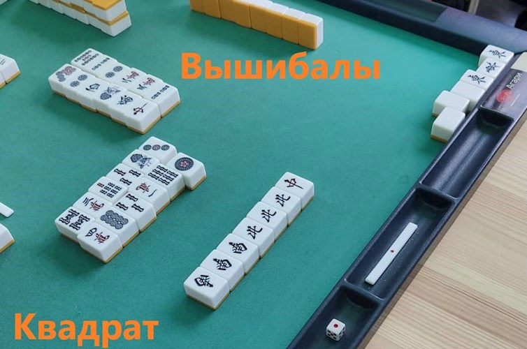 Вышибалы