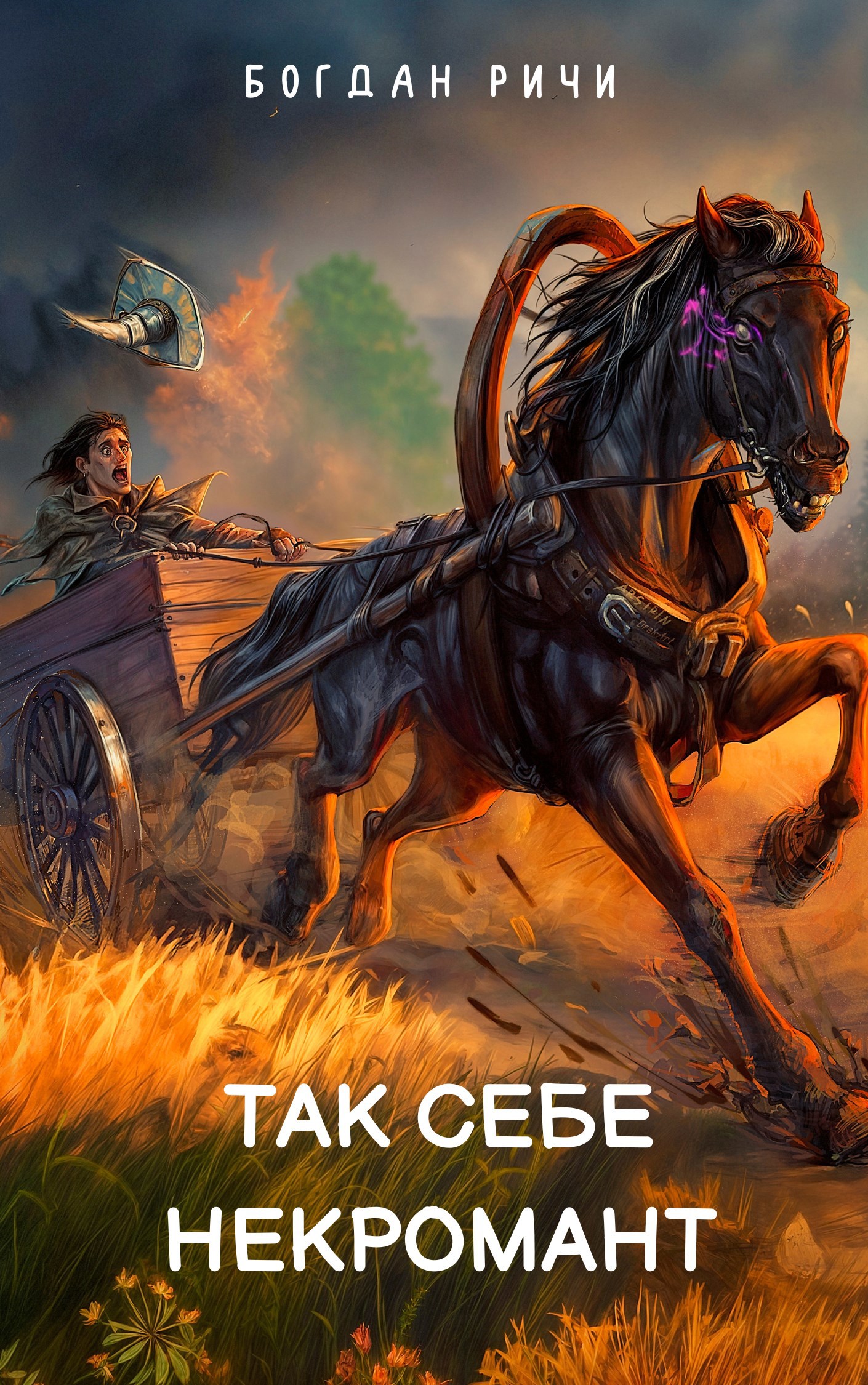 Так себе некромант. Книга 1
