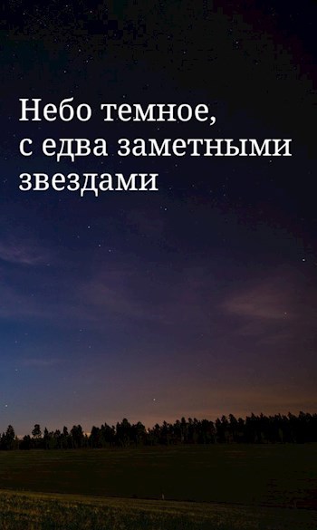 Небо темное, с едва заметными звездами.