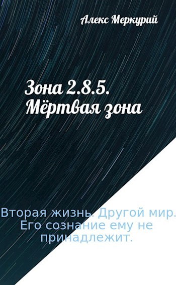 Зона 2.8.5. Мёртвая зона