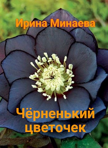 Чёрненький цветочек