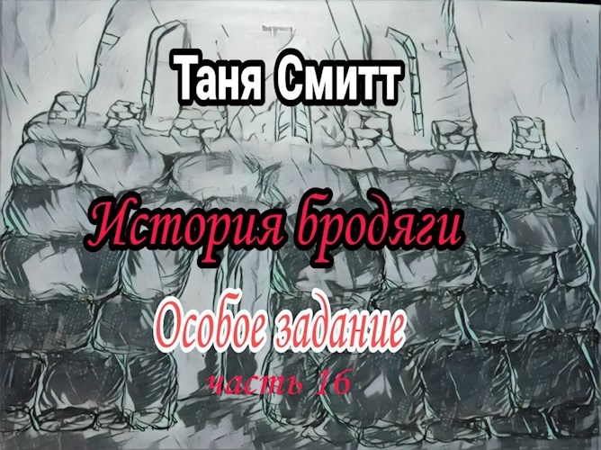 История бродяги. Особое задание