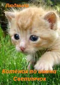 Котёнок по имени Светлячок
