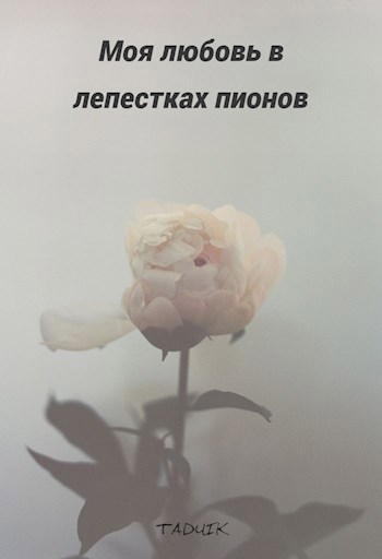 Моя любовь в лепестках пионов