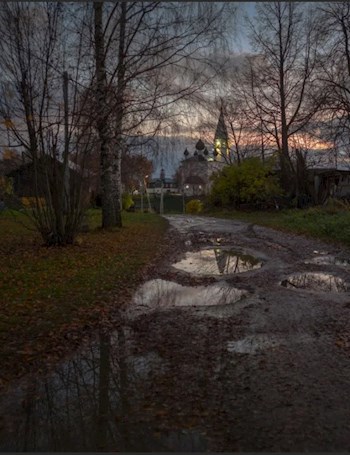 Рассказы Василича