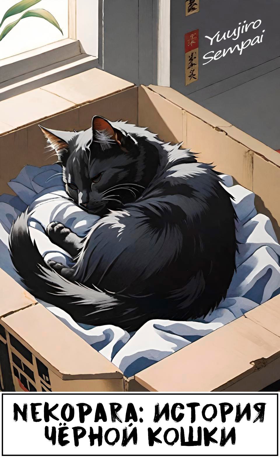 Nekopara: История чёрной кошки