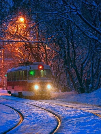 Бар у Марка