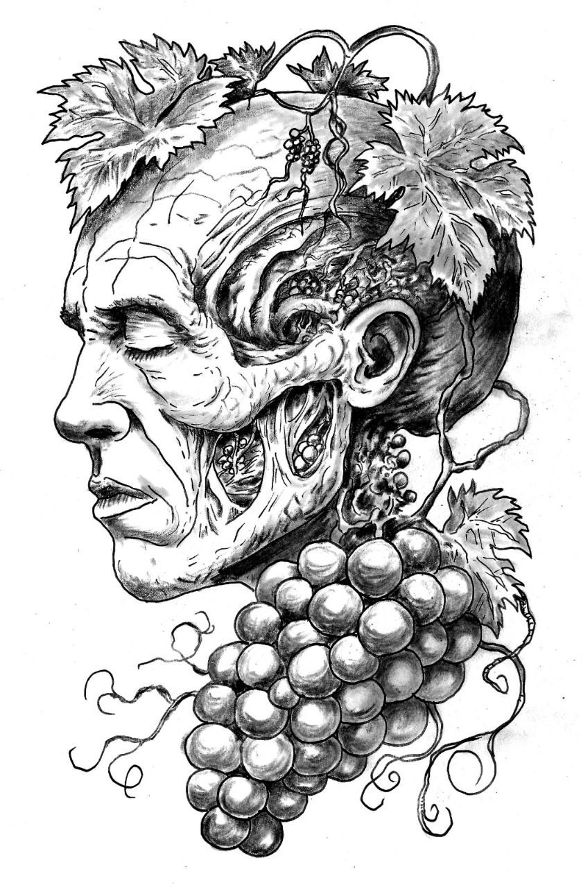 Виноградная косточка