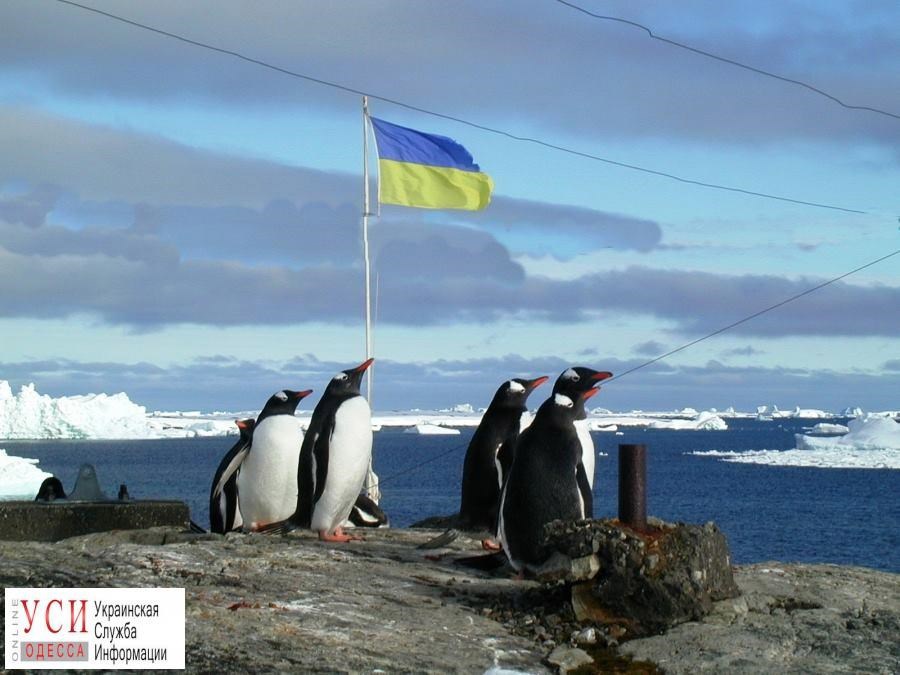 Сказка: Пингвины в Украине