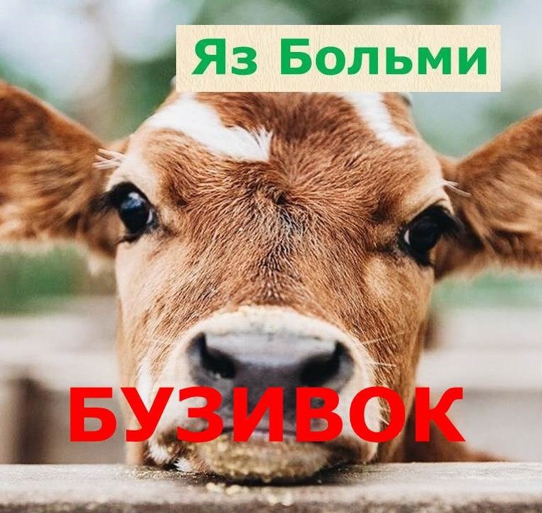 Бузивок