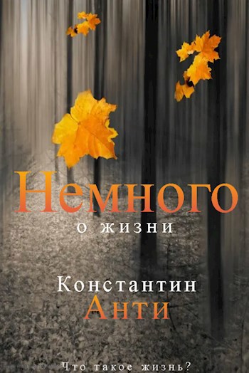 Немного о жизни