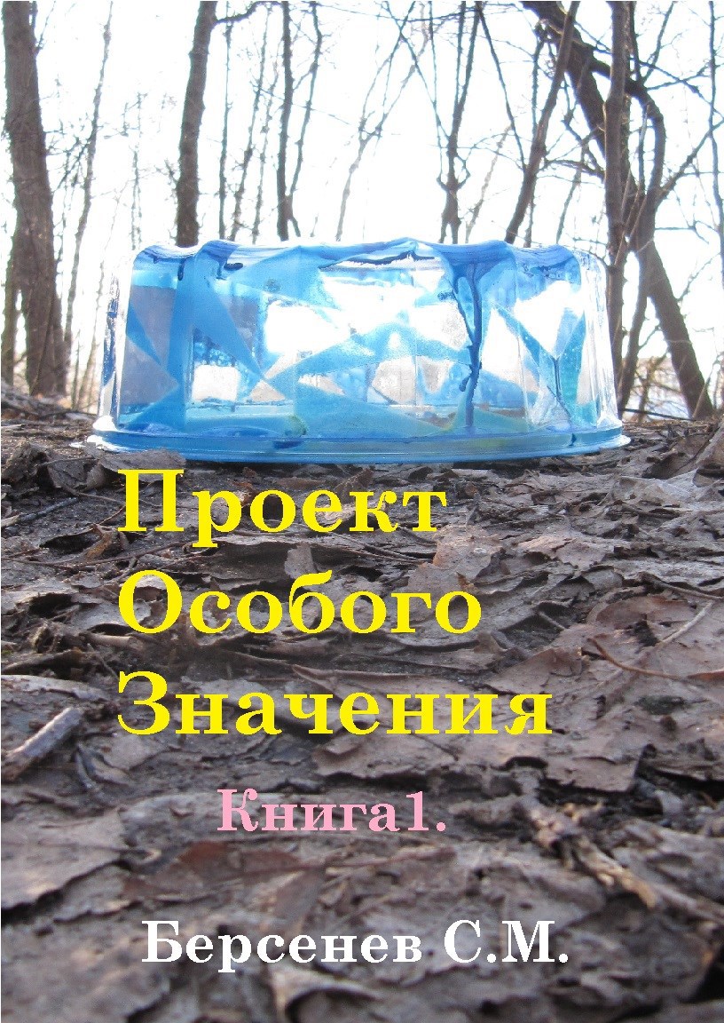 Проект Особого Значения