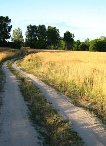 В деревне