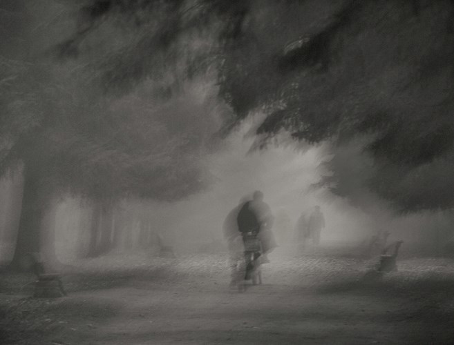 По сумеречной тропе