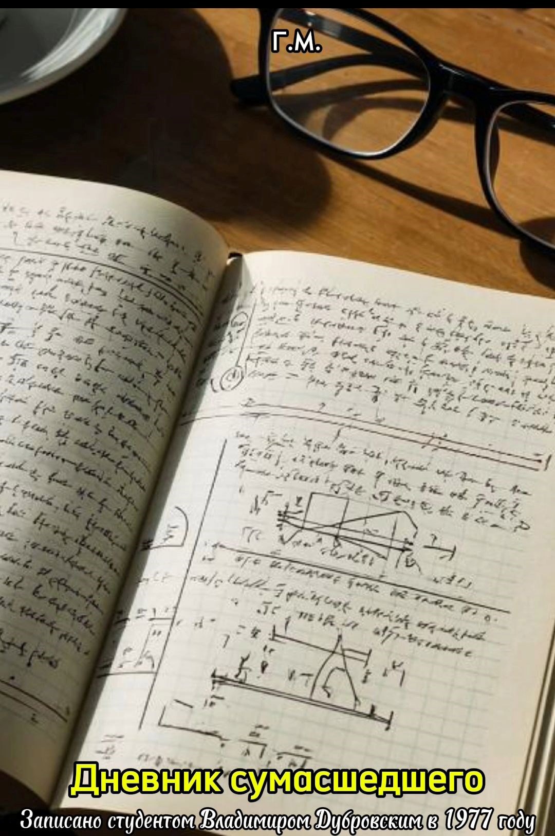 Дневник сумасшедшего