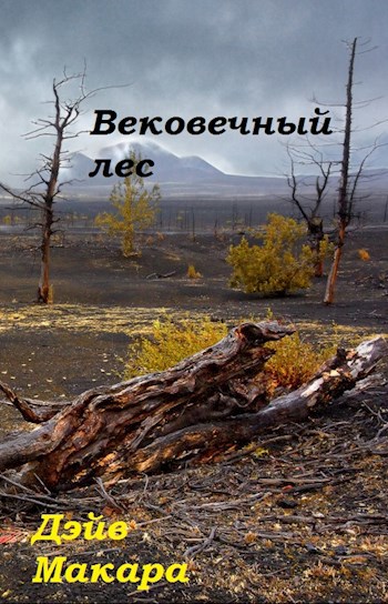 Вековечный лес