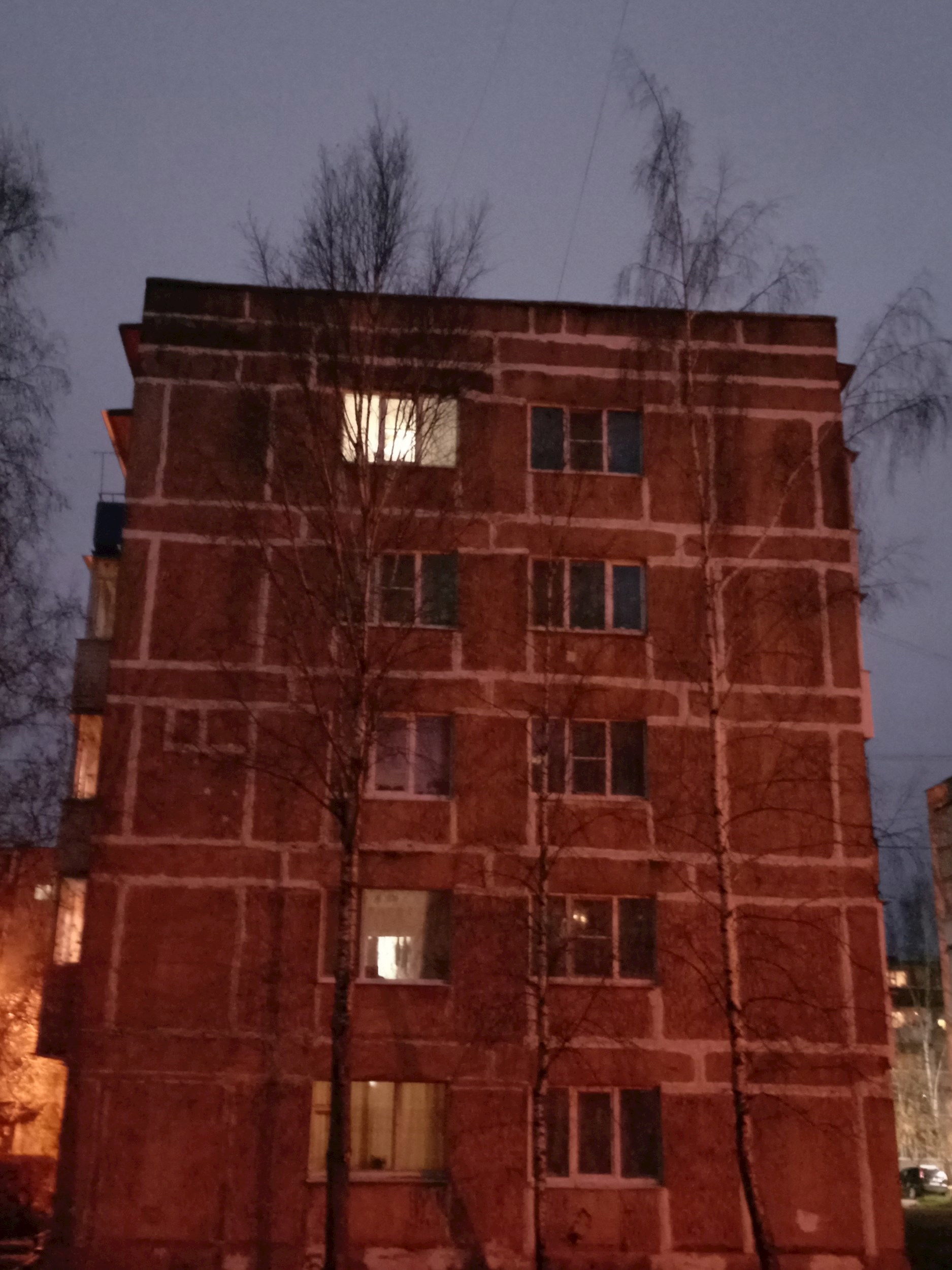Мы все умрём 🌺