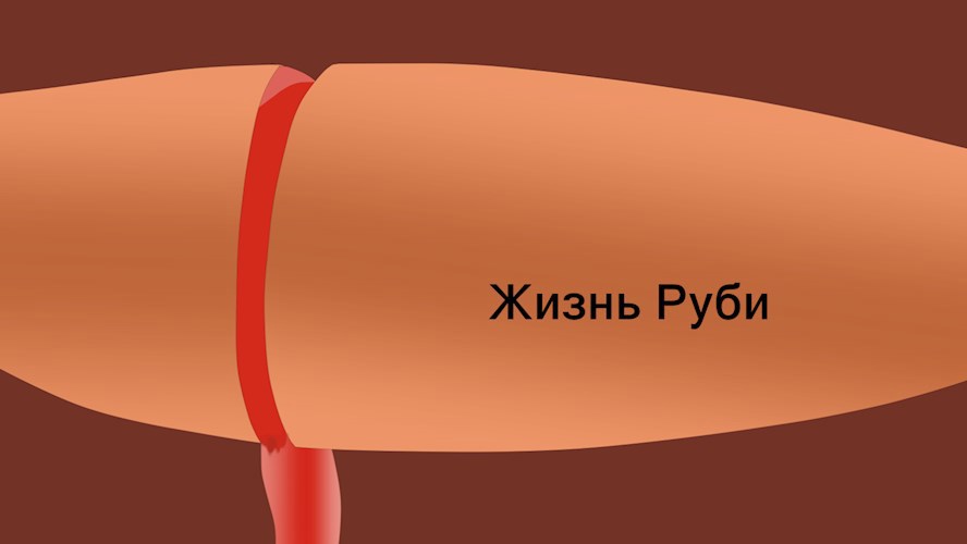 Жизнь Руби 3