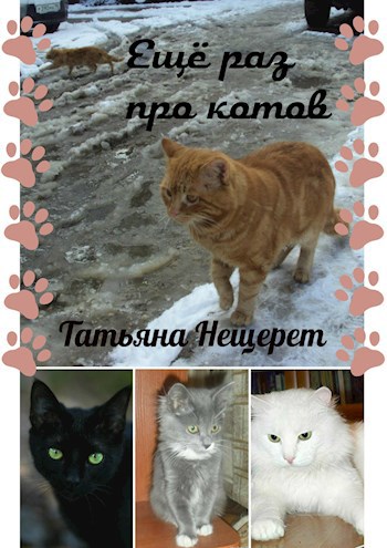 Ещё раз про котов