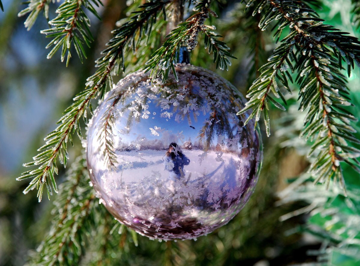 Грустный рассказ про счастье