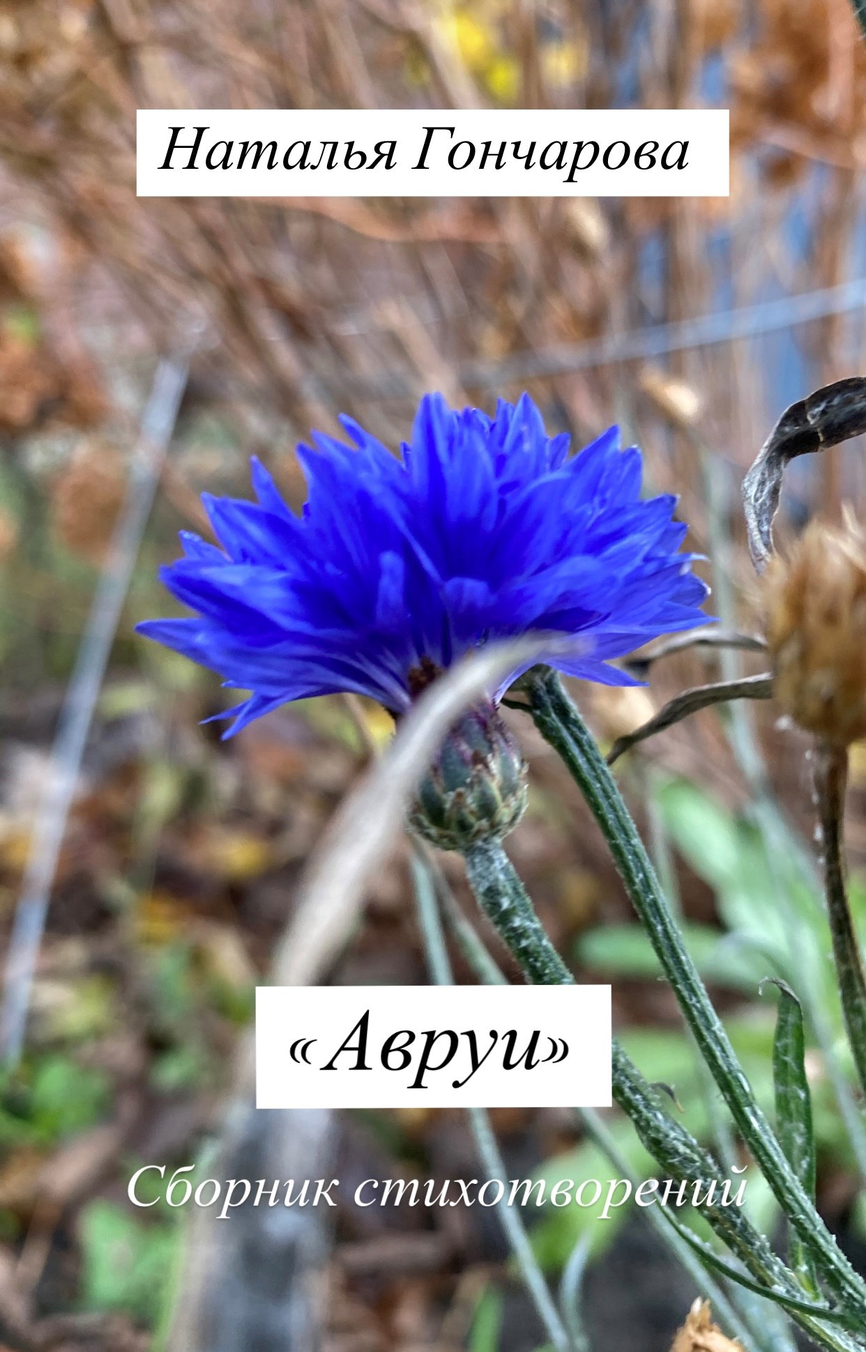 Авруи
