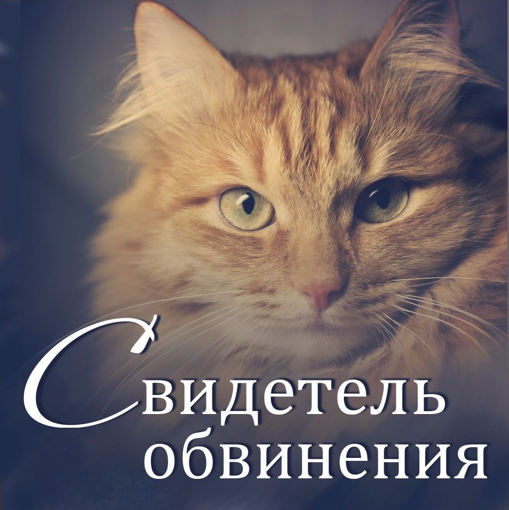 Свидетель обвинения