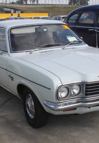 Притаившийся кабан и квадратные колёса