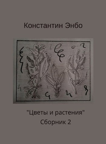 &quot;Цветы и растения&quot;. Сборник 2.