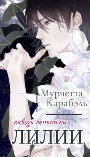 Сквозь лепестки лилии