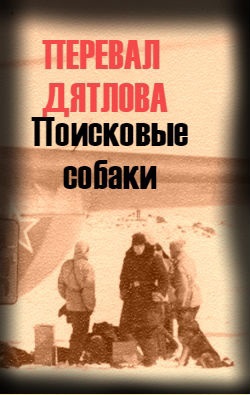 СТРАННОЕ ПОВЕДЕНИЕ СОБАК