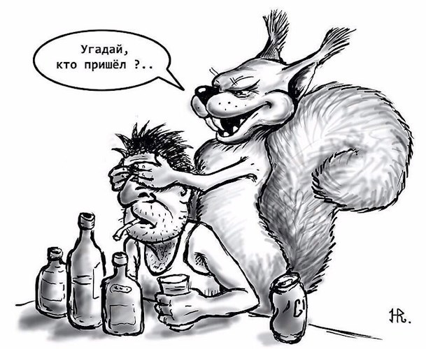 Белочка пришла