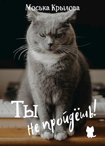 Ты не пройдёшь!