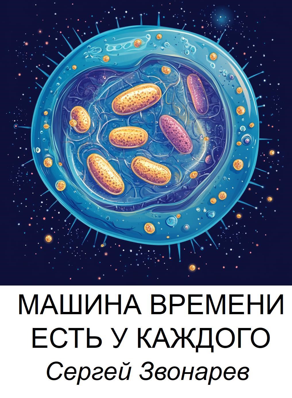 Машина времени есть у каждого