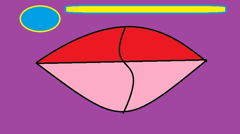 &quot;Ракушка&quot; рисунок Маринетт Мортем