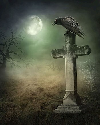 Ворон на могиле