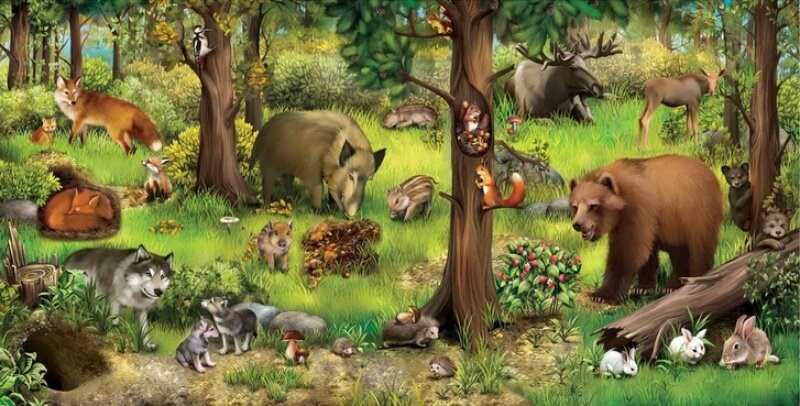 Басня о профориентации в лесу